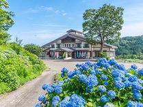 �������@���̗��@�₷�炬���̊O�ώʐ^