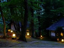 日光 鬼怒川温泉　ホテル 森の家の外観写真