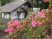 ���� �S�{�쉷��@�z�e�� �X�̉Ƃ̊O�ώʐ^