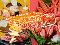 �u���[�Y�x�C�V�[�T�C�h���]�[�g�����i�a�a�g�z�e���O���[�v�j�̎{�ݎʐ^3