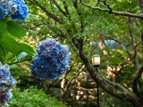 �H������@�������ف@�������̎{�ݎʐ^2