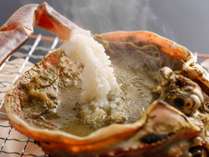 ���{�C��]���ɍ�����@��l�̉B��h�@�����ʊف@�a���̎{�ݎʐ^3