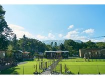 Solana �x�m��a��̊O�ώʐ^