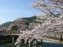 �z�e���@�r�i���I���㗒�R�̎{�ݎʐ^2