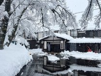 ���ƌ���100���̏h�@���Ȃ̑��̎ʐ^