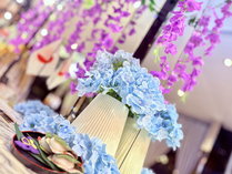 �A�p�z�e���q���É��w�O�k�r�̎{�ݎʐ^2