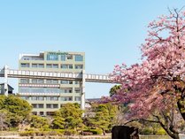 THE TSUBAKIMORI Hotel �� Residence�̊O�ώʐ^