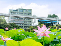 THE TSUBAKIMORI Hotel �� Residence�̊O�ώʐ^