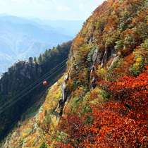 湯の山温泉の紅葉周辺宿からの現地情報 じゃらんnet