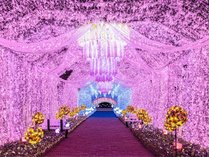 aꍂ][g@ViƂ݂̂j̎{ݎʐ^1