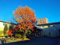 ze[gCR[gɓ߂̊Oώʐ^