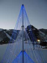 ���B���E�u���C�g�z�[���̎{�ݎʐ^2