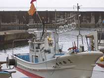 ���t�����̏h��@�G�|�̎ʐ^