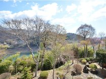 ���₵����̉Ԕ��̎{�ݎʐ^2