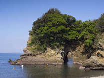 堂ヶ島浮島ランドホピアの施設写真1