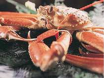 Z@앗邩ɂ̏h@Dԁi͂ȁj̎{ݎʐ^2