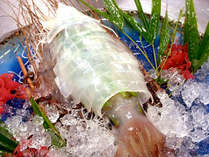 -���{-�@���C�N�T�C�h�Ո��@���Y�����c�̏h�̎{�ݎʐ^2