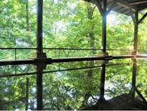 ���}�ߐ{���]�[�g�@�z�e���n�[���F�X�g�ߐ{�̎{�ݎʐ^3