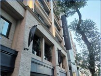 �l�X�g�z�e���I���g�ڍ��w�O�̎ʐ^