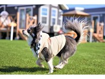 �r���������������̎{�ݎʐ^2