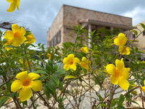 WAAP HOTEL�̎{�ݎʐ^2