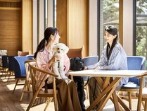 Doggy�fs Coast Oarai�̎{�ݎʐ^1