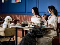 Doggy�fs Coast Oarai�̎{�ݎʐ^2