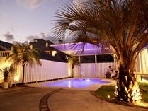 �I�[�V�����r���[���q�̊O�ώʐ^