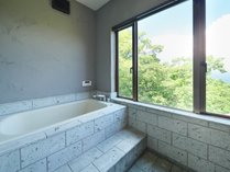 Vista Fuji Retreat�̎{�ݎʐ^3