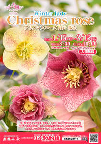 花巻温泉 バラ園周辺宿からの現地情報 じゃらんnet