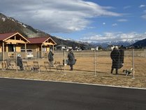 �h�b�O�������R�e�[�W�@���܁[��̎{�ݎʐ^3