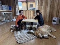 �h�b�O�������R�e�[�W�@���܁[��̎{�ݎʐ^2