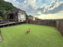 INU�@ SKY TERRACE SUWA�̊O�ώʐ^