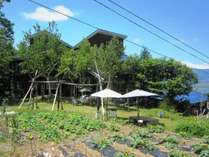 �X�e�[�L�̊ف@�I�[�x���W���O���[�r�[�̎ʐ^