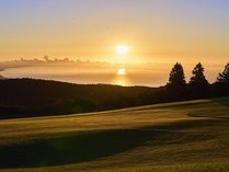 �������̉ԃv�����X�z�e���̎{�ݎʐ^2