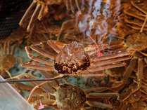 Z@{[zSỈh@O\ق̎ʐ^