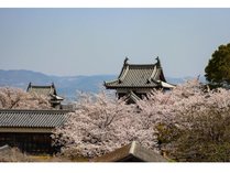 �z�e�����[�g�C������w�O�̎{�ݎʐ^3