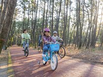 V[KCAEtHXgERe[W̎{ݎʐ^3