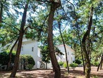 V[KCAEtHXgERe[W̊Oώʐ^