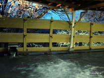 ���̏h�@���R�Ҋ����̎{�ݎʐ^3