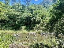 �������o�e�B�X�e�C�i�c�N���o�[�j�̊O�ώʐ^