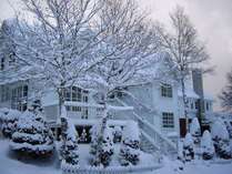 �����Q�X�g�n�E�X�u���[�N���G�b�O�E�C���̊O�ώʐ^