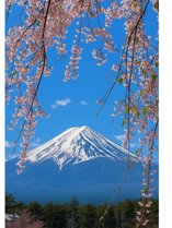 �T�U���q���Y�K�[�f���̎{�ݎʐ^2