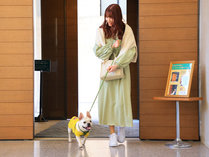 愛犬の為にデザインしたホテル　コレドール湯河原　Dog＆Resortの施設写真2