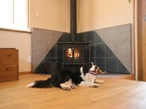 �k�y���X�E�B�[�g�O���X�̎{�ݎʐ^3