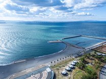 ���݃e���X��F�̕l�̊O�ώʐ^