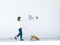 愛犬と泊まれるスタイリッシュ宿。D+KIRISHIMAの外観写真