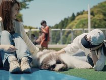 Ruff-Laugh Chiba�i���t���t��t�j�̎{�ݎʐ^2