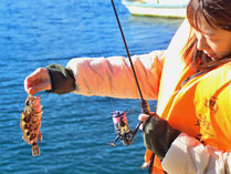 ���W���[���h�E���V���Z���^�[�̎{�ݎʐ^3