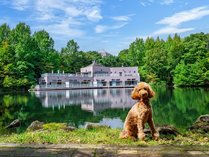 �z�e���G�s�i�[���ߐ{�̎ʐ^